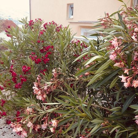 Apartamento House Agradable Seget Vranjica Exterior foto