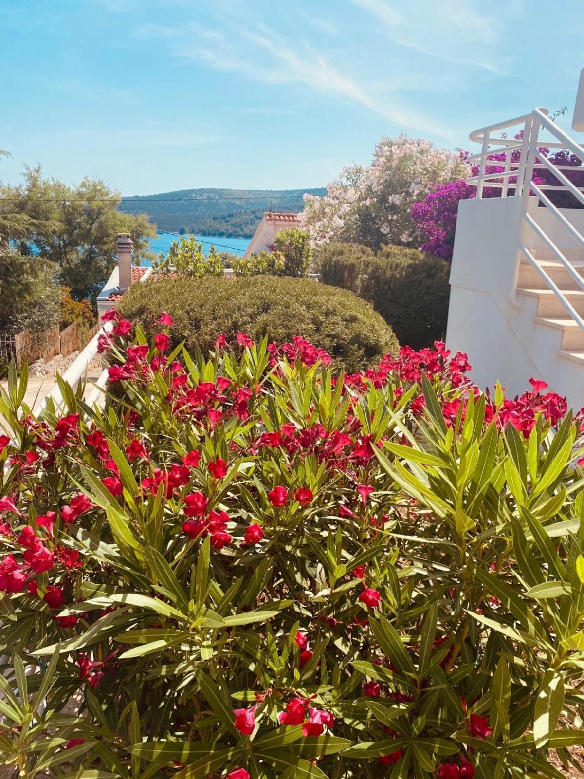 Apartamento House Agradable Seget Vranjica Exterior foto